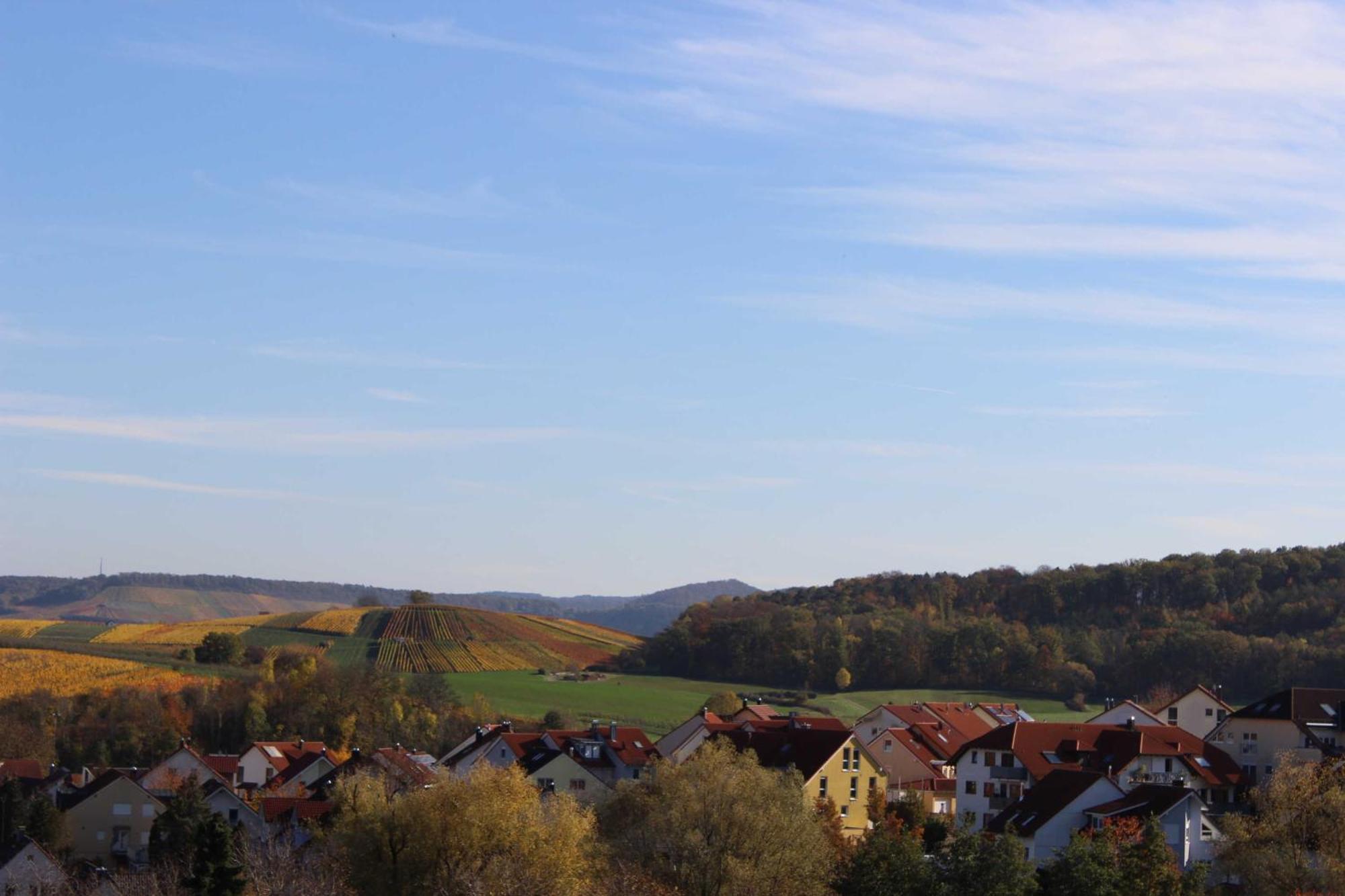 Gaestehaus Zum Wolffenturm Lehrensteinsfeld Ruang foto
