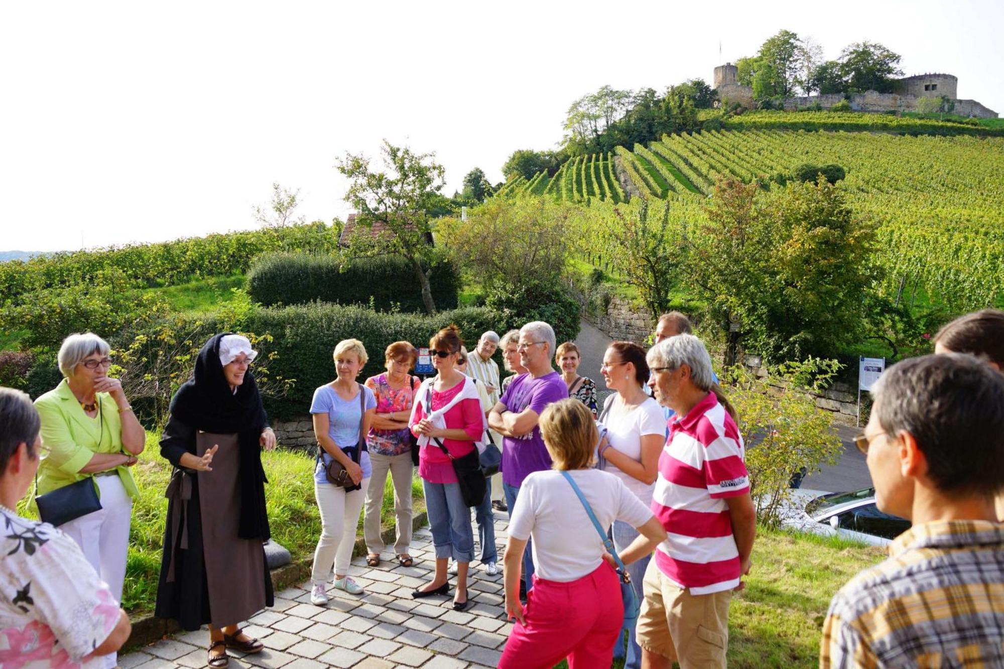 Gaestehaus Zum Wolffenturm Lehrensteinsfeld Bagian luar foto