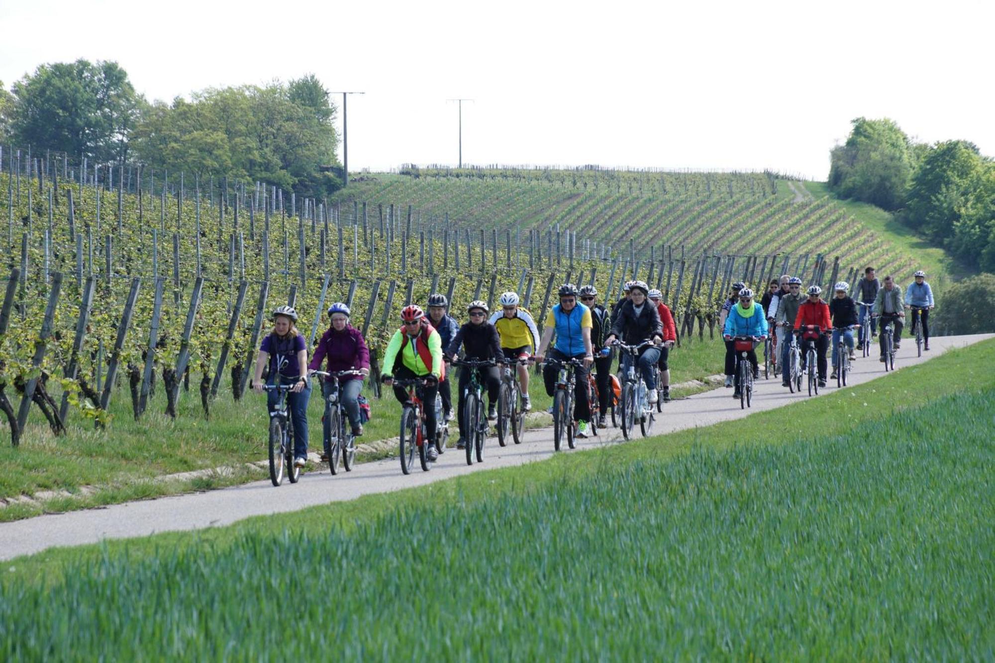 Gaestehaus Zum Wolffenturm Lehrensteinsfeld Bagian luar foto