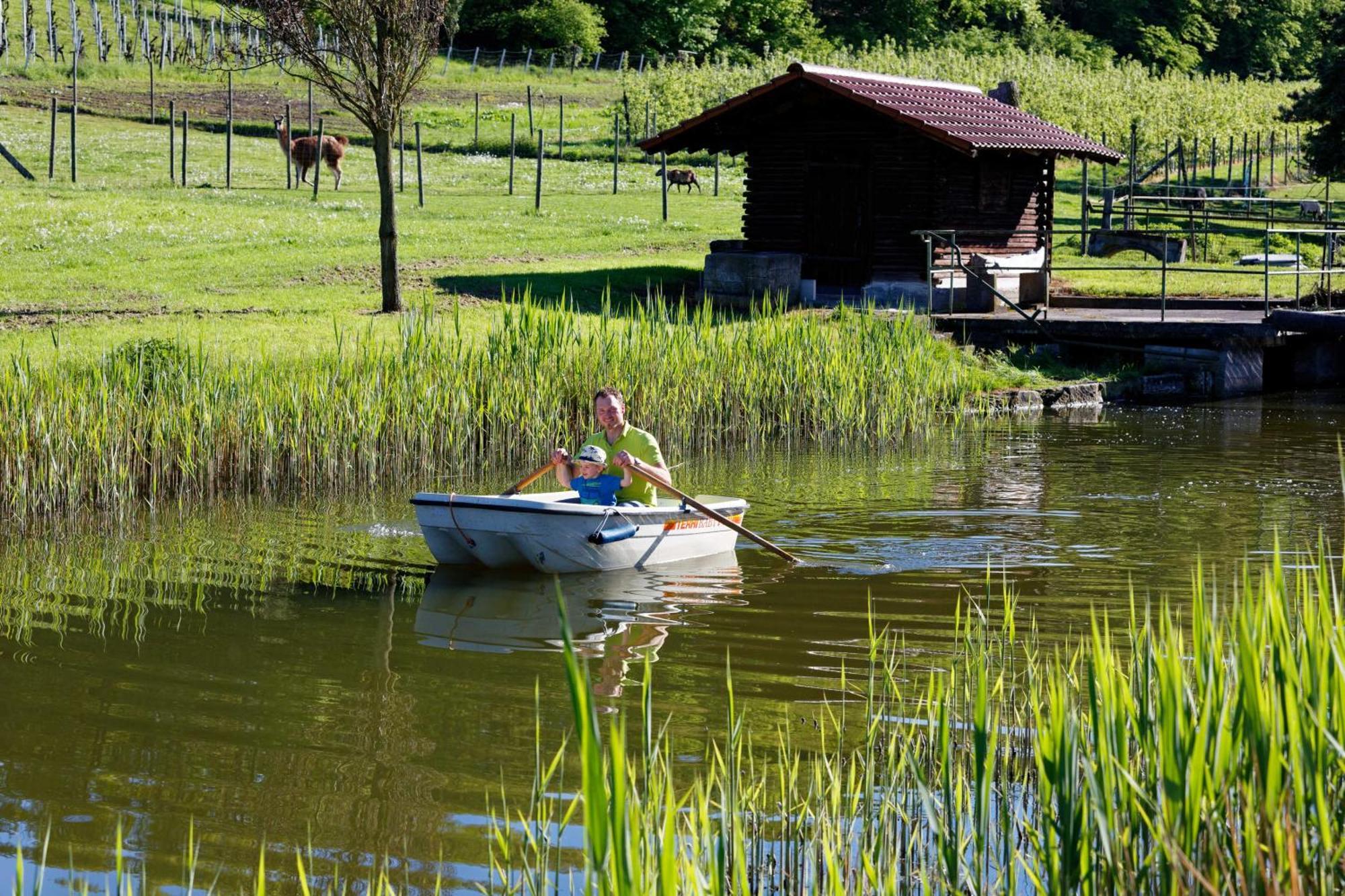 Gaestehaus Zum Wolffenturm Lehrensteinsfeld Bagian luar foto