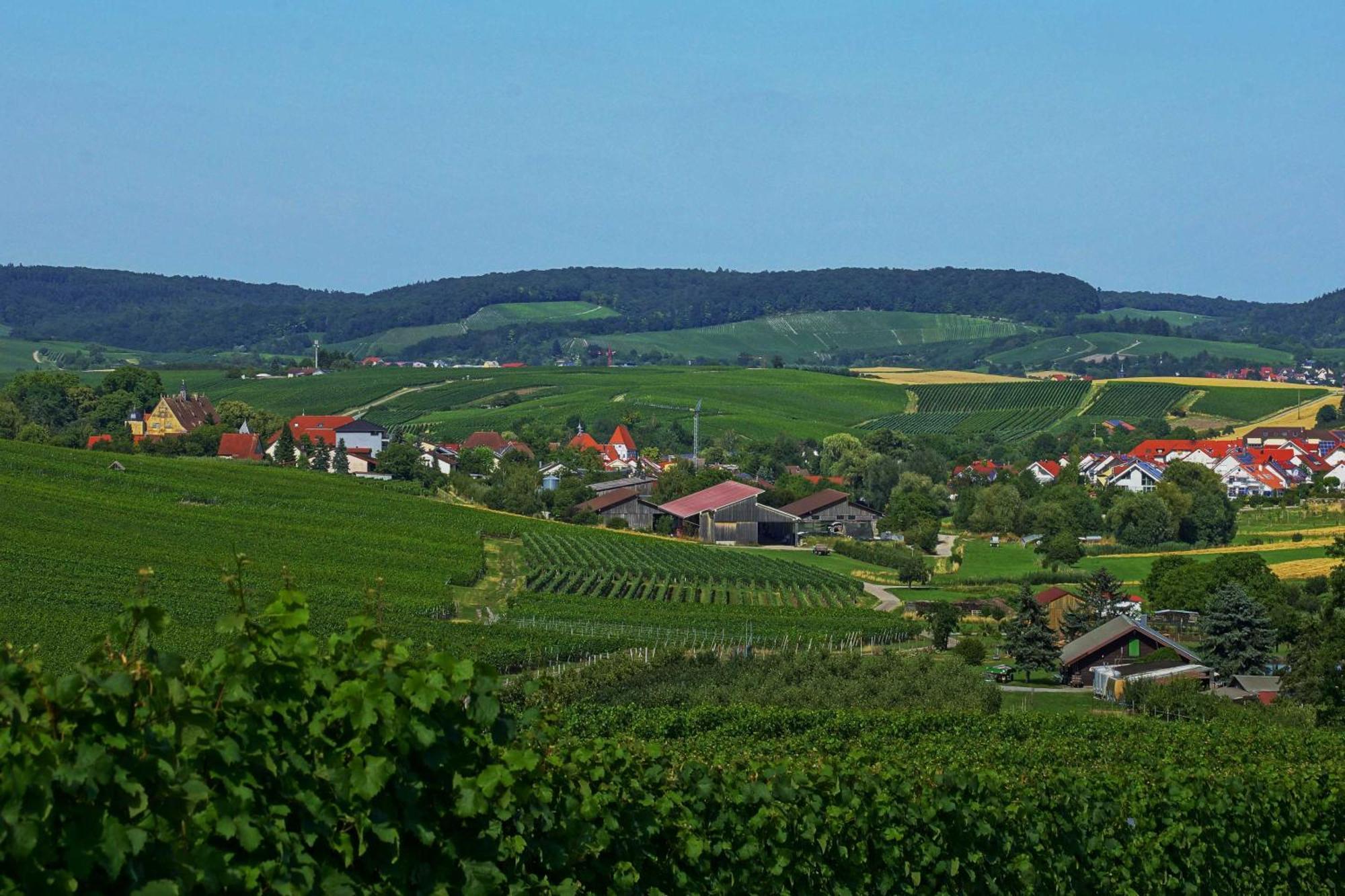 Gaestehaus Zum Wolffenturm Lehrensteinsfeld Bagian luar foto
