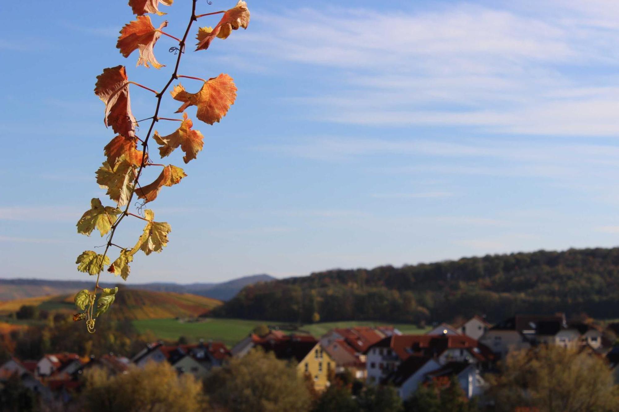 Gaestehaus Zum Wolffenturm Lehrensteinsfeld Bagian luar foto
